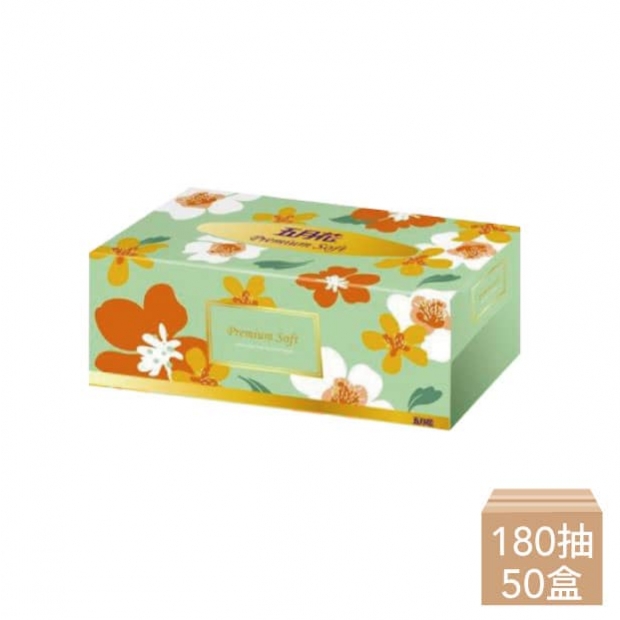 Toilet paper-10-Mayflower flat.jpg