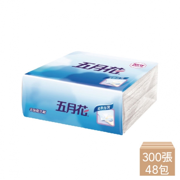 Toilet paper-9-Mayflower flat.jpg