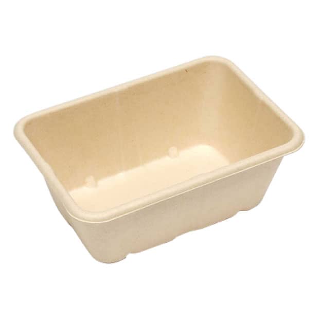 950m lsquare fiber plant lunch box No27.jpg