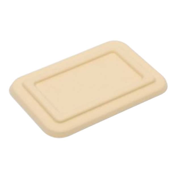 No 8 fiber plant box cover.jpg