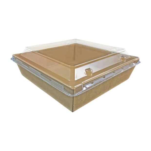 no 435 kraft cardboard rectangular light food box.jpg