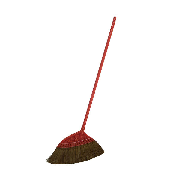 bristle broom.jpg